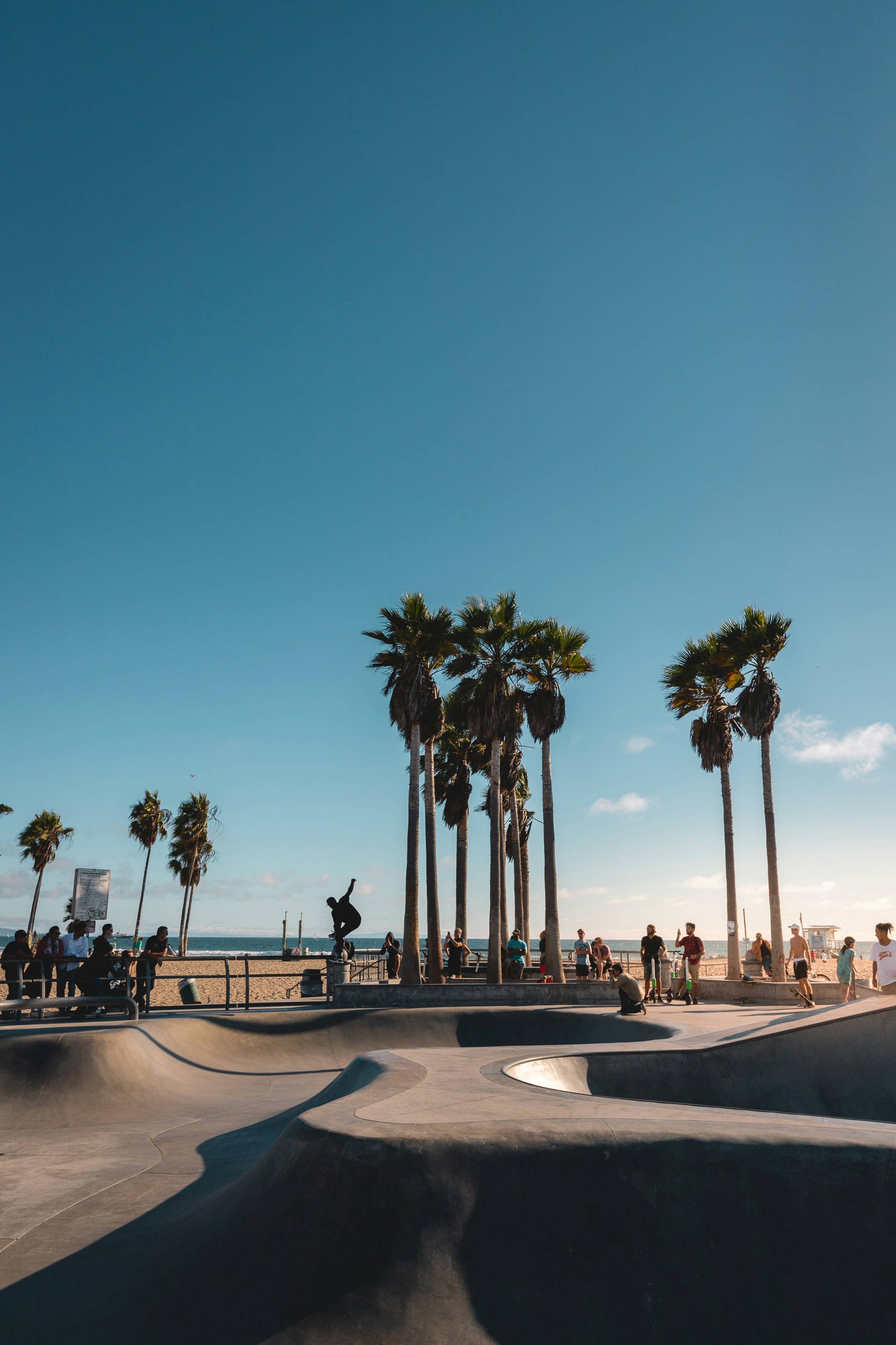 A skateboarder performs a trick in a skate park surrounded by palm trees on a sunny beach, while people watch and the ocean is visible in the background.