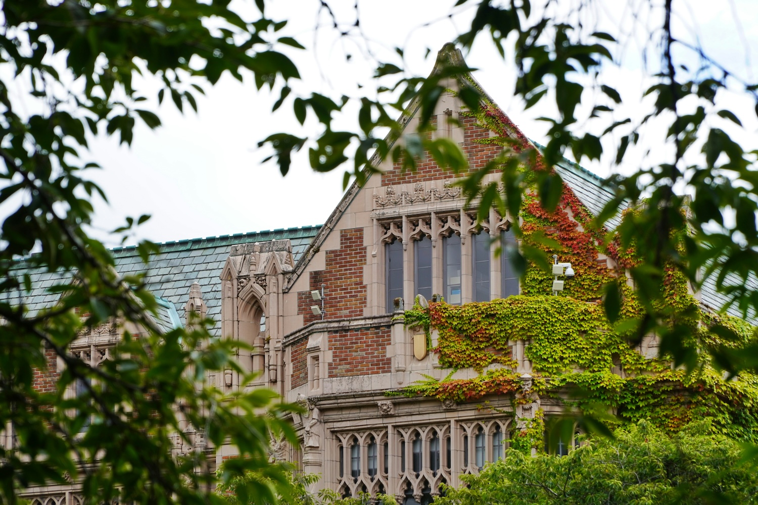 University of Washington campus