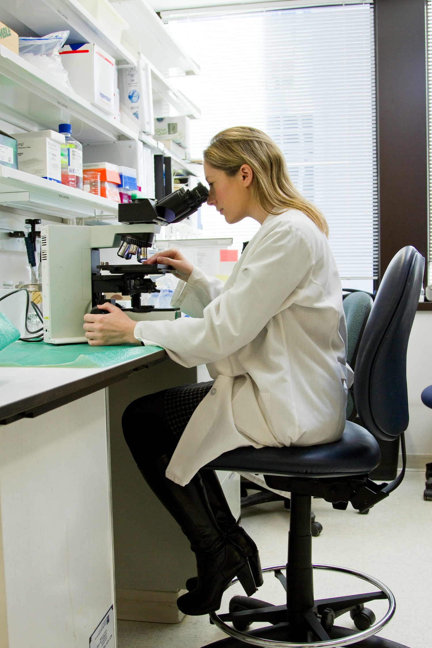A scientist examines a specimen through a microscope while seated in a laboratory filled with shelves of scientific equipment and supplies.